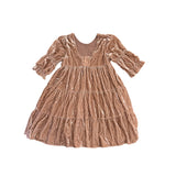 Noralee Crushed Velvet Dress