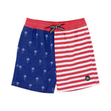 Feather 4 Arrow Palm Stripe Volley Trunk - Twilight