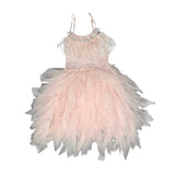 Tutu Du Monde Dress