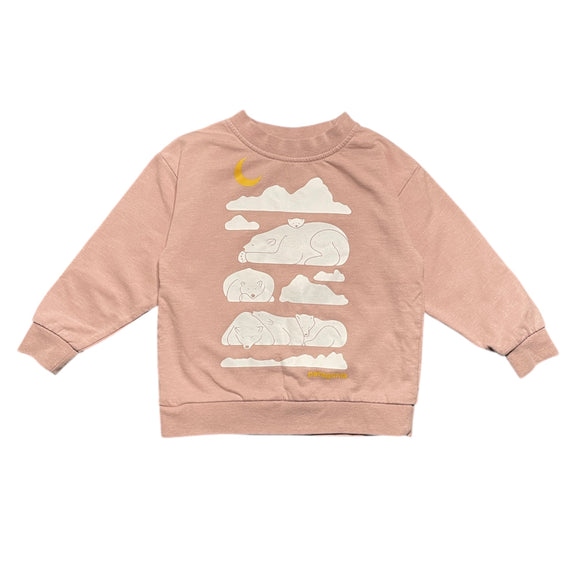 Patagonia Sweatshirt