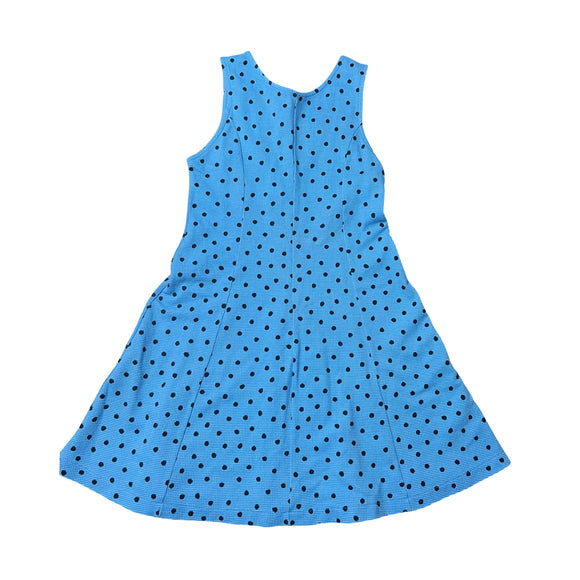 Zara Polka Dot Dress