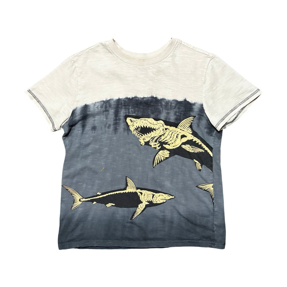 Hatley Shark T-Shirt