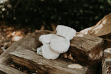 Donsje Richy Mittens | Polar Bear | Off White Curly Faux Fur