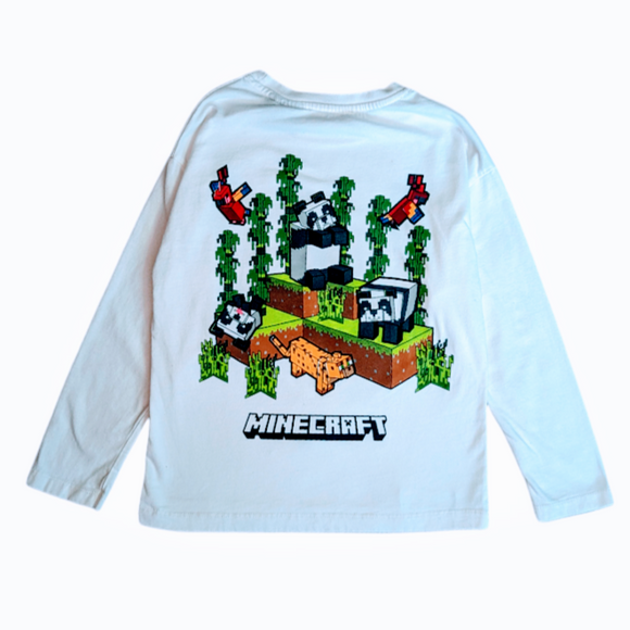 ZARA x Minecraft Long Sleeve Shirt