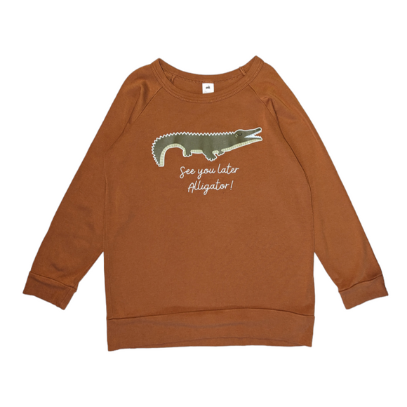 Little and Lively Alligator Pullover