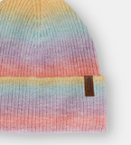 Headster Arctic Beanie - Rainbow